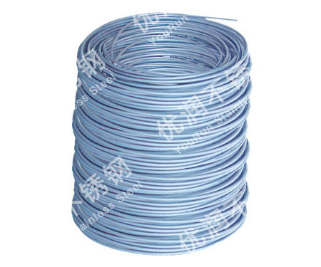 ��������˿